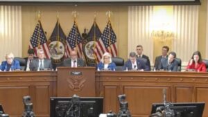 Congress people on a panel.